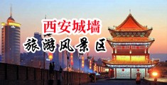 干屄免费看中国陕西-西安城墙旅游风景区